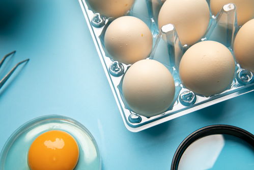 無菌雞蛋食品安全農(nóng)業(yè)科技食品培育攝影圖 插畫 下載至來源處