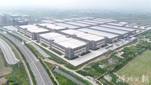 稀散金屬 超級工廠 內(nèi),孿生元素分離純度可達(dá)99.5