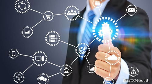 詳解IT技術人員外派駐場服務為何在技術開發領域備受歡迎